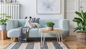 Apartment Pest Control by Interstate Pest Management -Serving Portland - Vancouver - Longview - Kelso