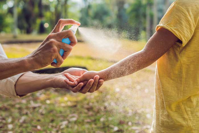 Ant Exterminators - Control - Removal in Portland OR and Vancouver WA