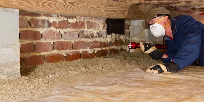 Person inspecting crawl space. Interstate Pest Management serving Portland OR & Vancouver WA talks about How to Protect Your Crawl Space.