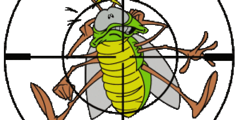 Bug being targeted. Interstate Pest Management serving Portland OR & Vancouver WA talks about Pest control myths.