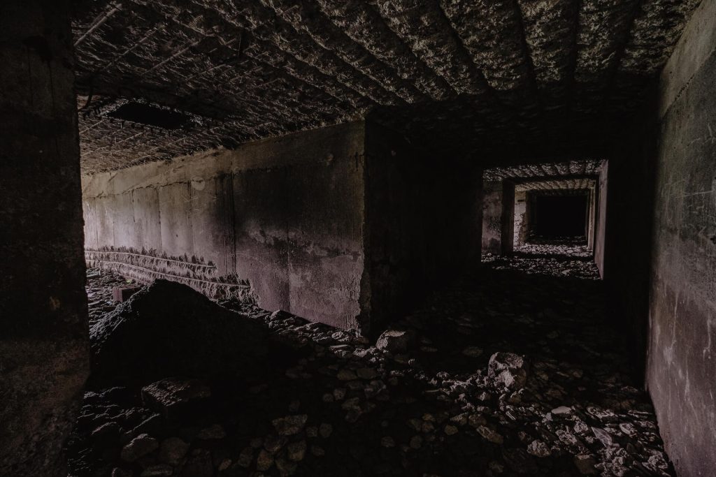 crawl space maintenance blog - image of an unfinished basement