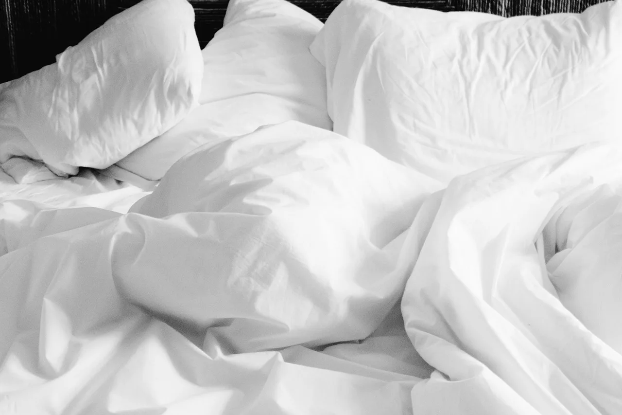 Hero image for a blog post titled "How to Keep Your Home Bed Bug Free This Winter" | An image of white bedding - comforter and pillows.