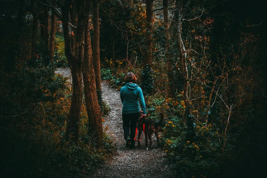 pexels photo 1006374