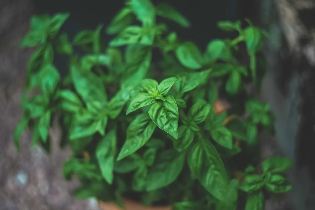 markus spiske ngP0x8HuPVM unsplash min