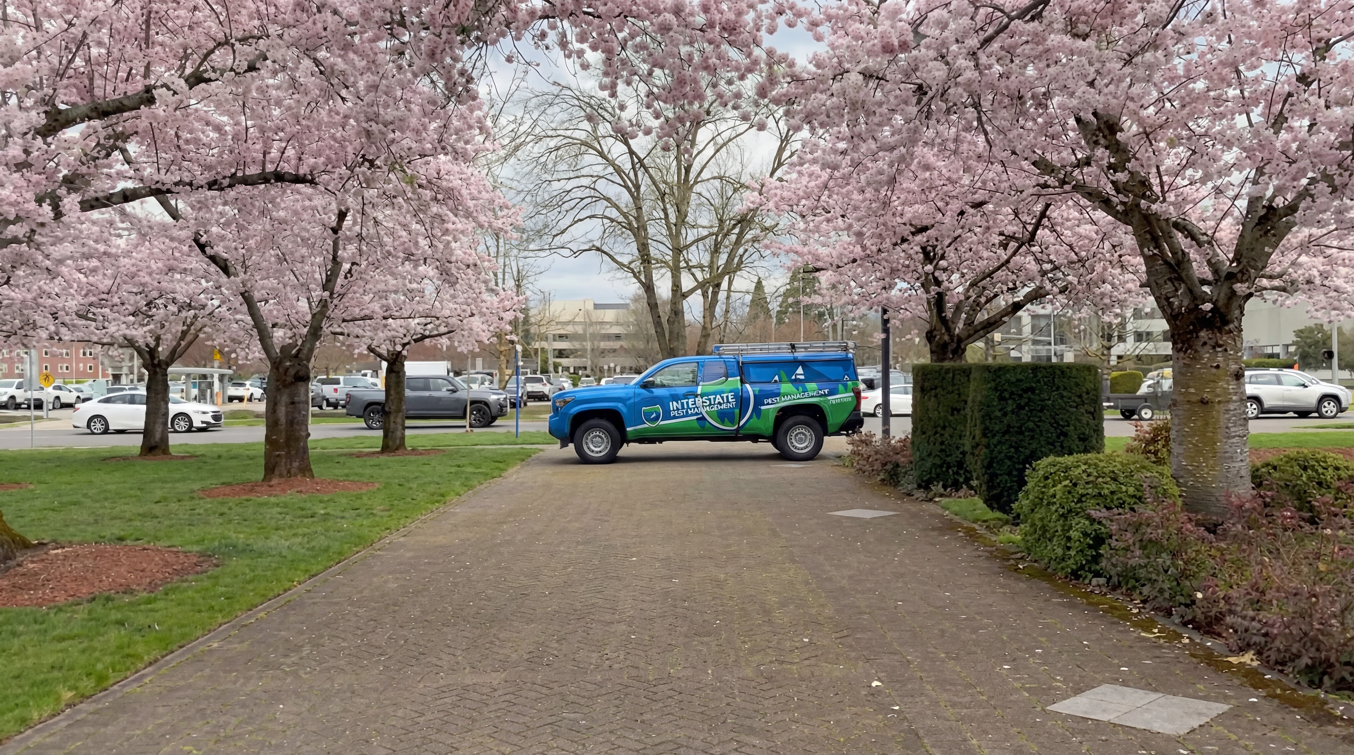 Interstate Pest Management service truck parked under blooming cherry blossom trees in Salem, Oregon